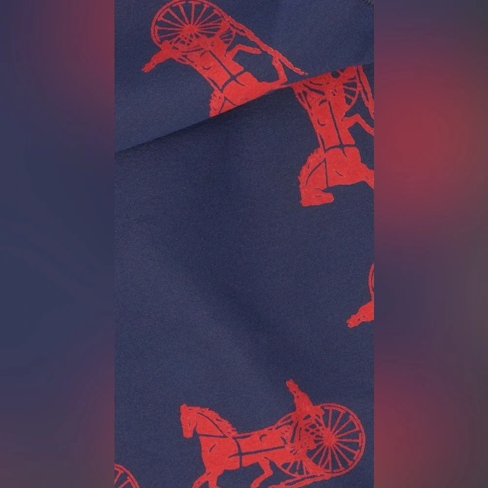 Celine Paris Navy and Red Silk Long Scarf